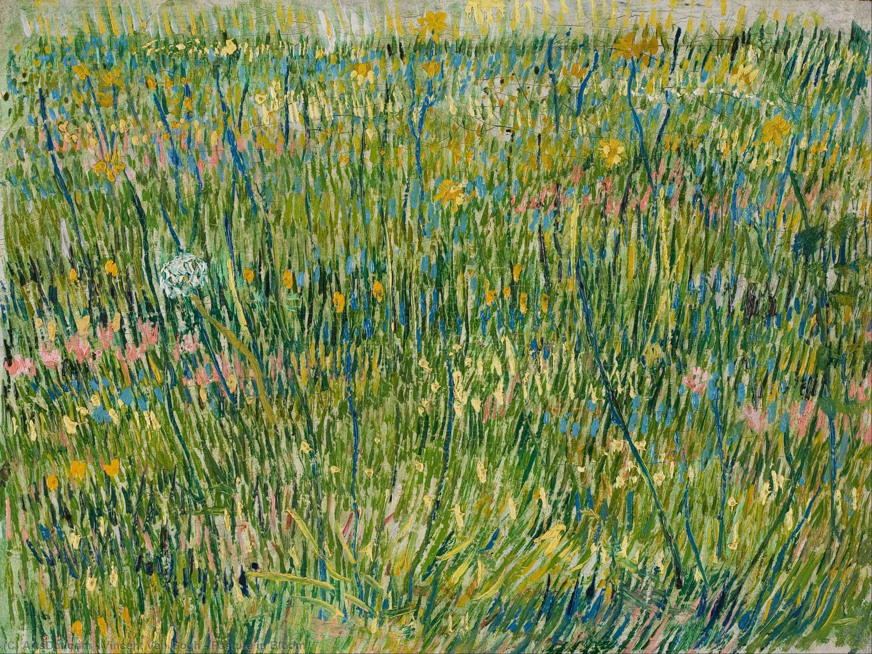 WikiOO.org - Encyclopedia of Fine Arts - Maľba, Artwork Vincent Van Gogh - Pasture in Bloom