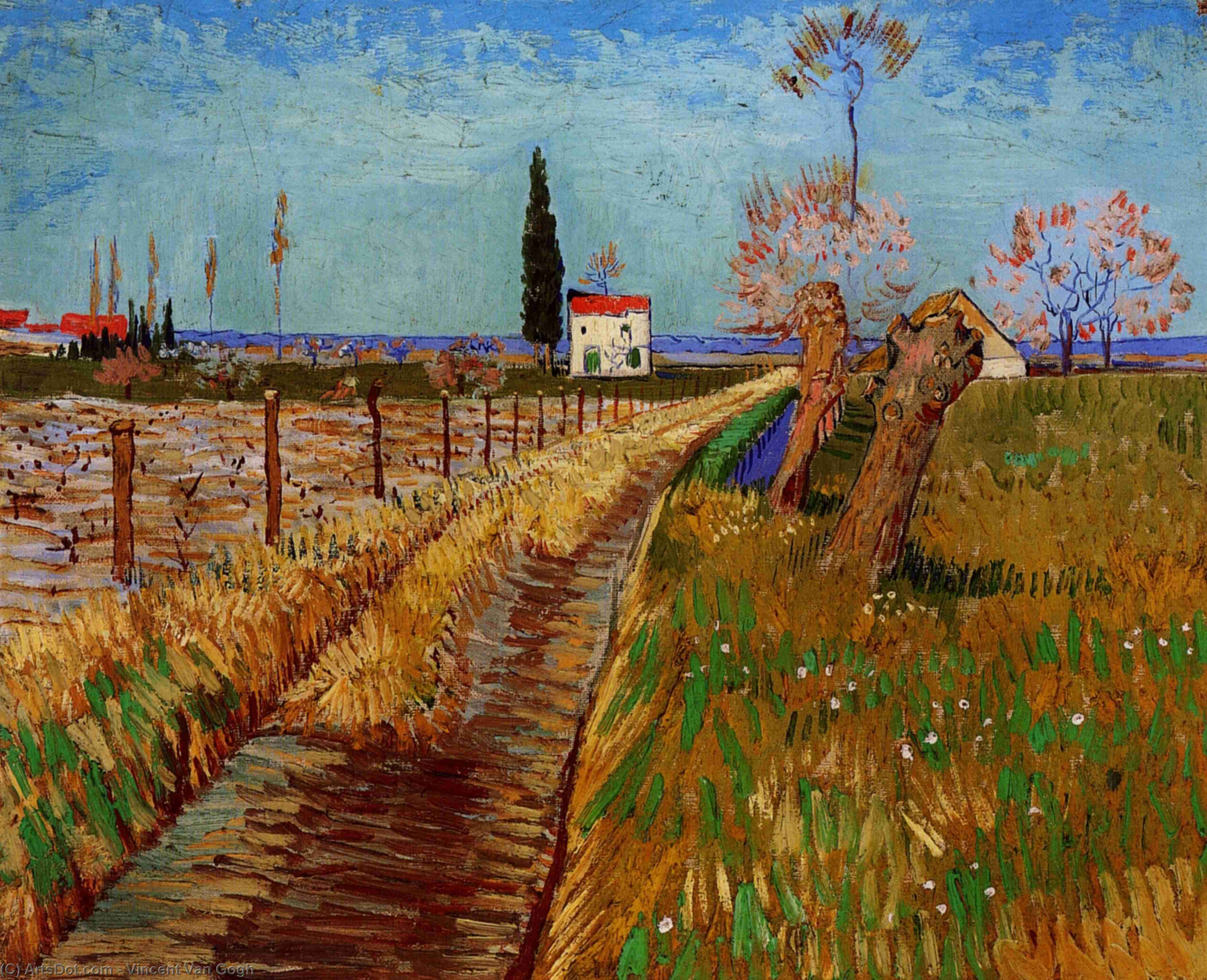 WikiOO.org – 美術百科全書 - 繪畫，作品 Vincent Van Gogh - 通过路径 一个  领域  与  柳林