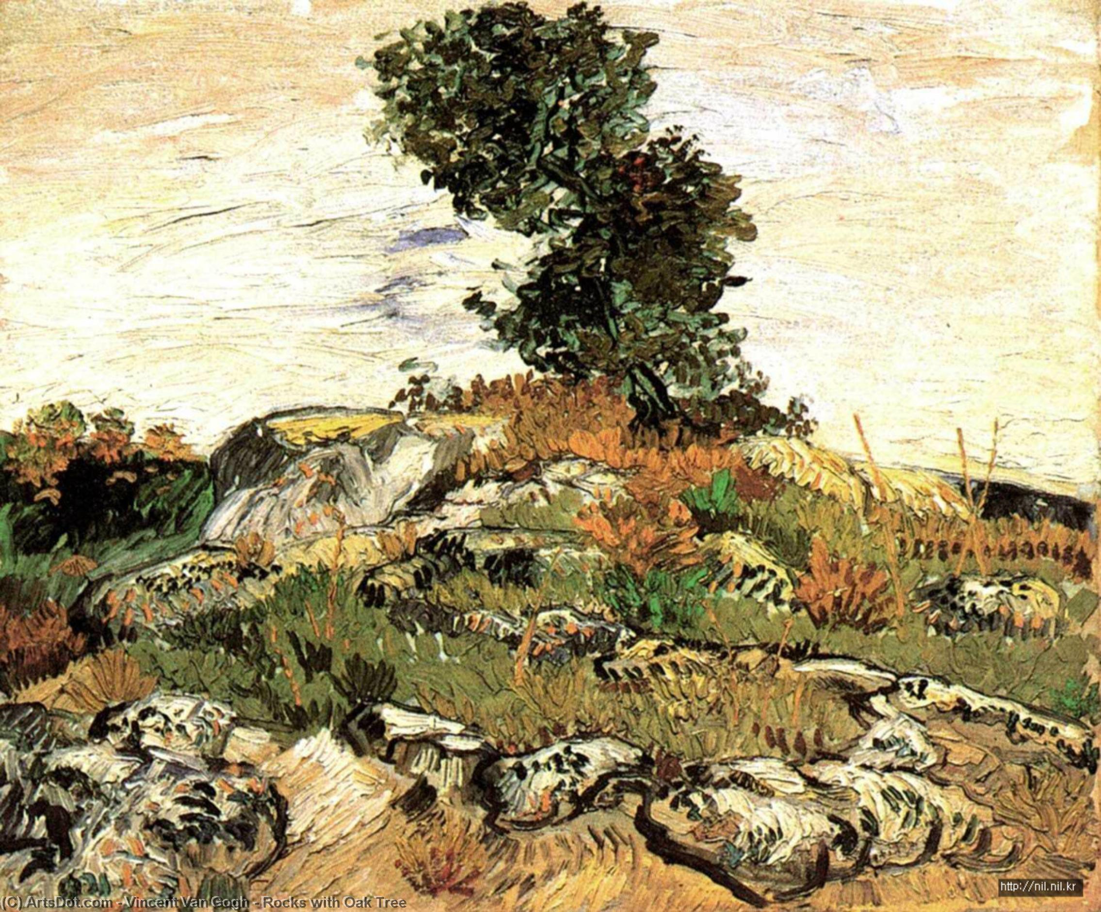 Wikioo.org - The Encyclopedia of Fine Arts - Painting, Artwork by Vincent Van Gogh - Rocks with Oak Tree