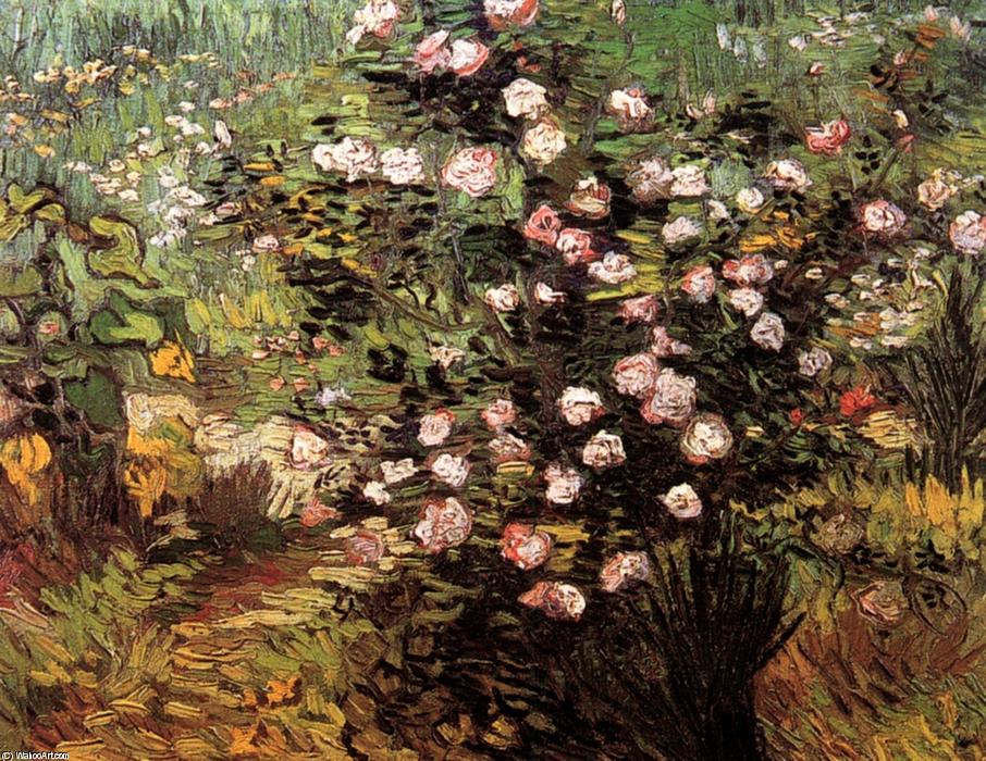 Wikioo.org - The Encyclopedia of Fine Arts - Painting, Artwork by Vincent Van Gogh - Rosebush in Blossom
