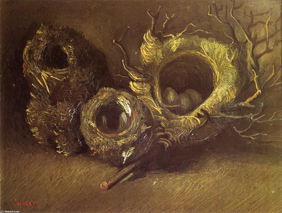 Wikioo.org – La Enciclopedia de las Bellas Artes - Pintura, Obras de arte de Vincent Van Gogh - bodegón con tres  pájaros  Nidos