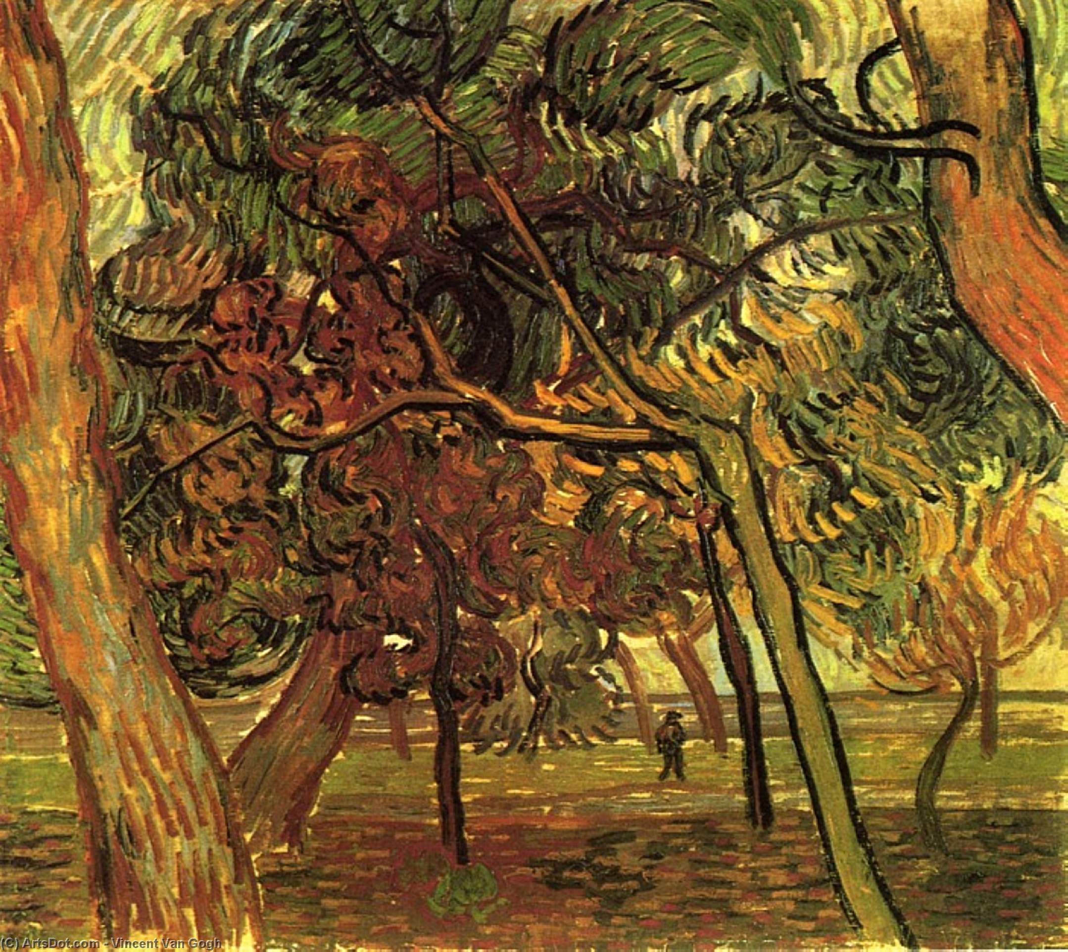 WikiOO.org – 美術百科全書 - 繪畫，作品 Vincent Van Gogh - 研究松树