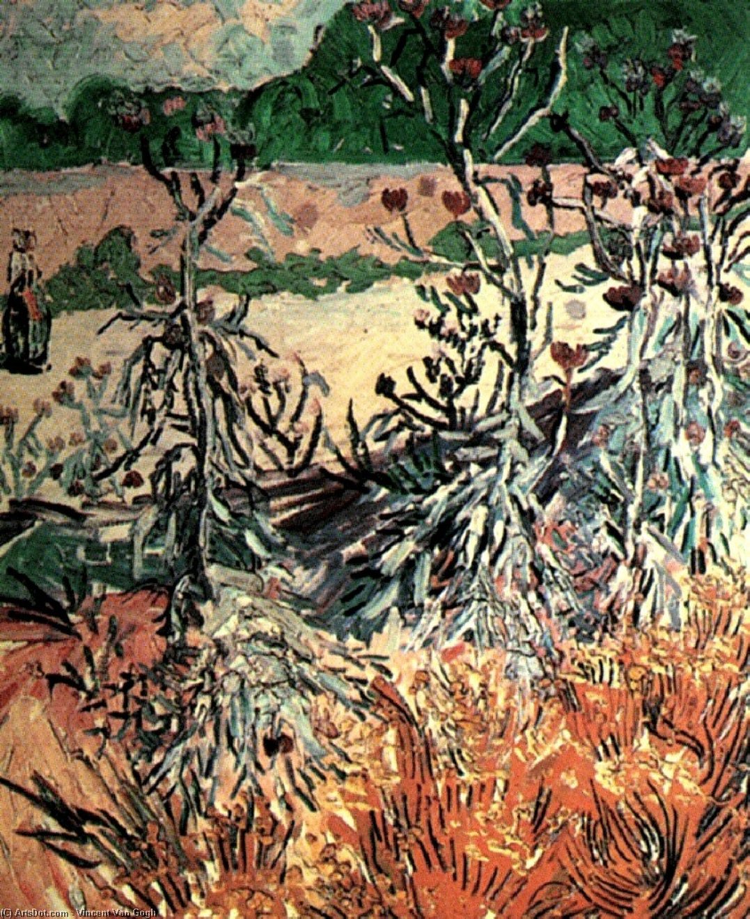 WikiOO.org - Encyclopedia of Fine Arts - Maleri, Artwork Vincent Van Gogh - Thistles