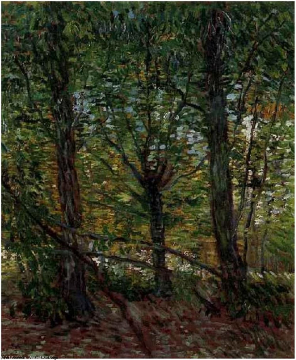 Wikoo.org - موسوعة الفنون الجميلة - اللوحة، العمل الفني Vincent Van Gogh - Trees and Undergrowth