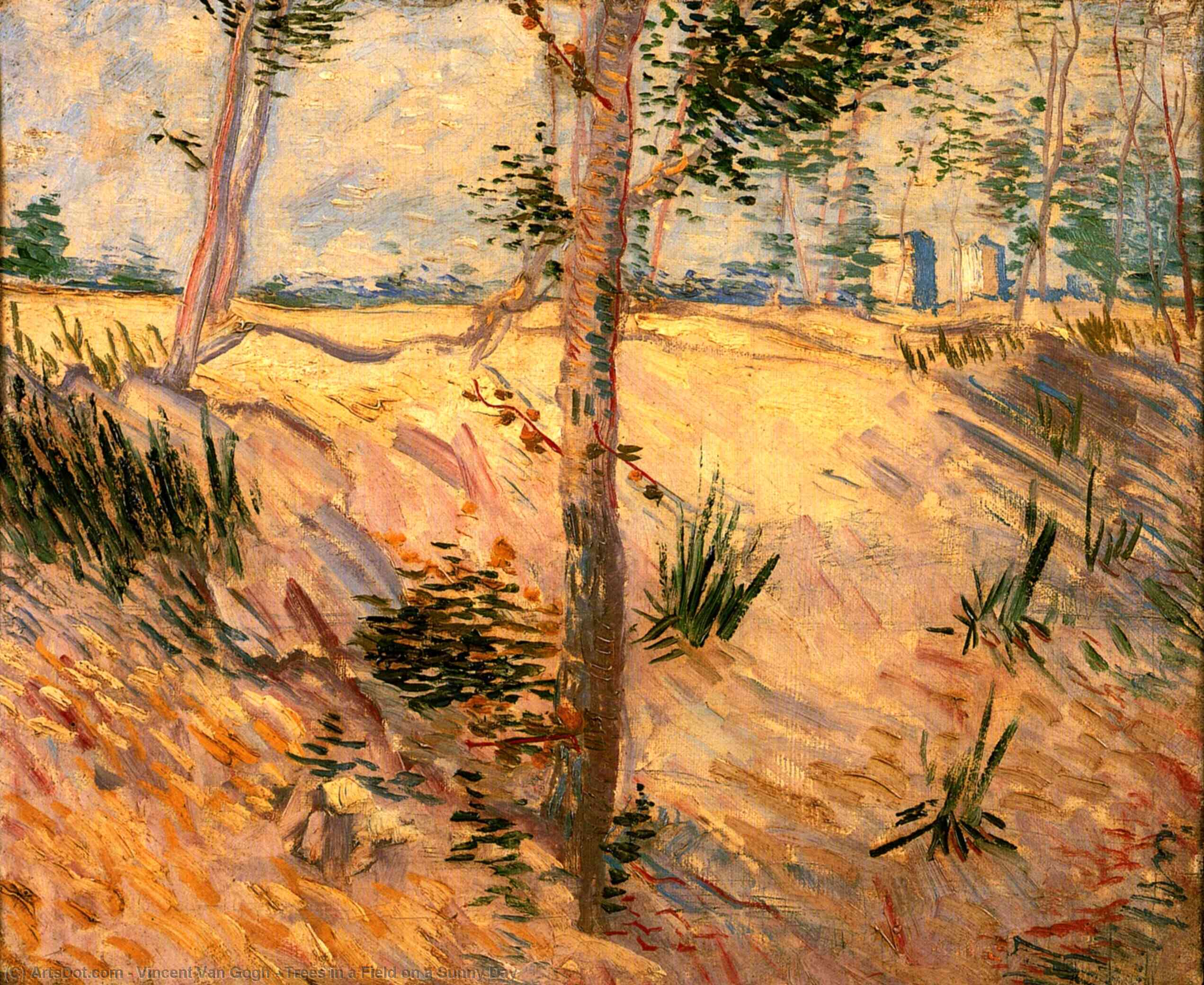 WikiOO.org – 美術百科全書 - 繪畫，作品 Vincent Van Gogh - 树研究 一个  领域  对  一个  阳光普照  天