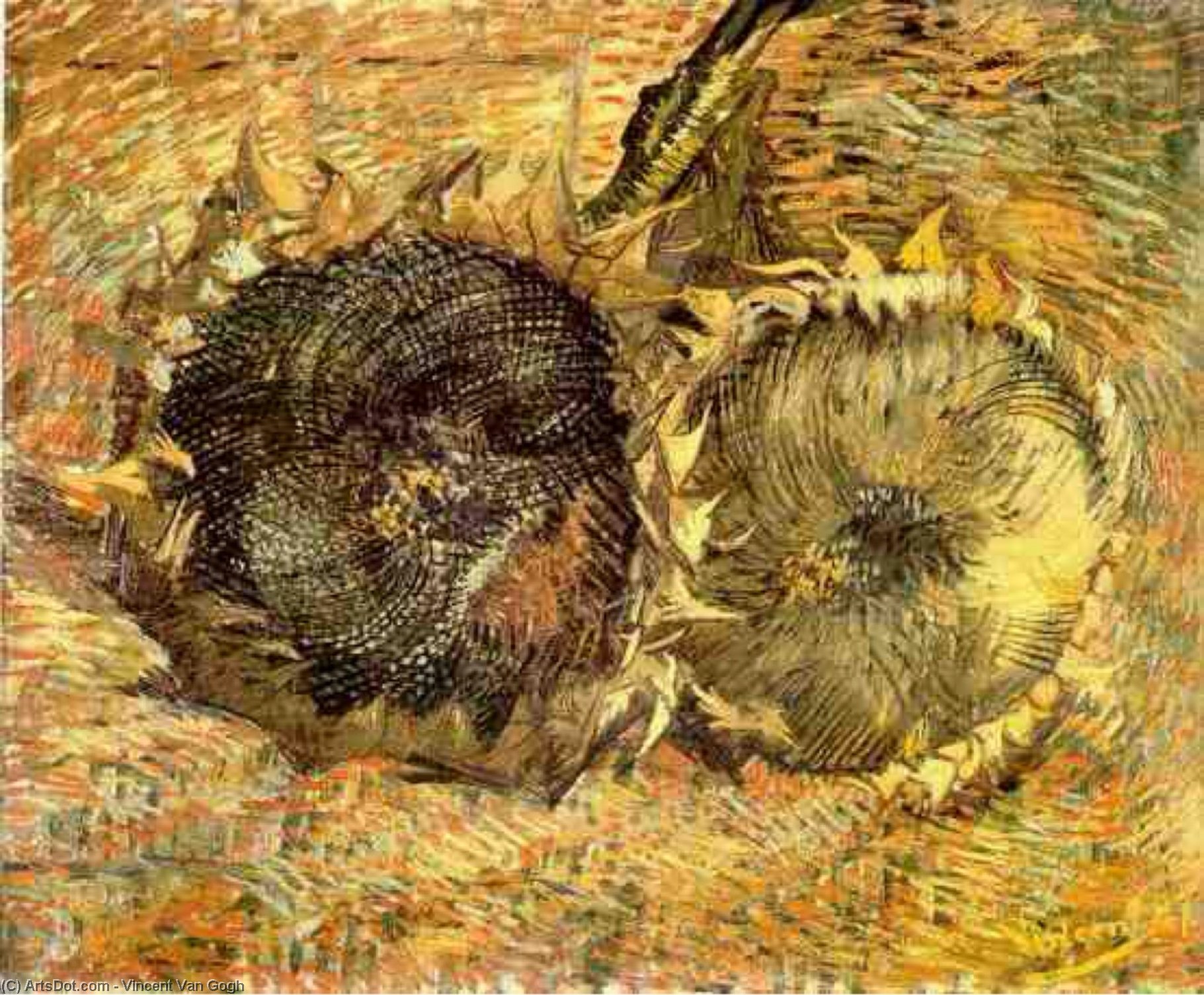 WikiOO.org - Enciklopedija dailės - Tapyba, meno kuriniai Vincent Van Gogh - Two Cut Sunflowers 2