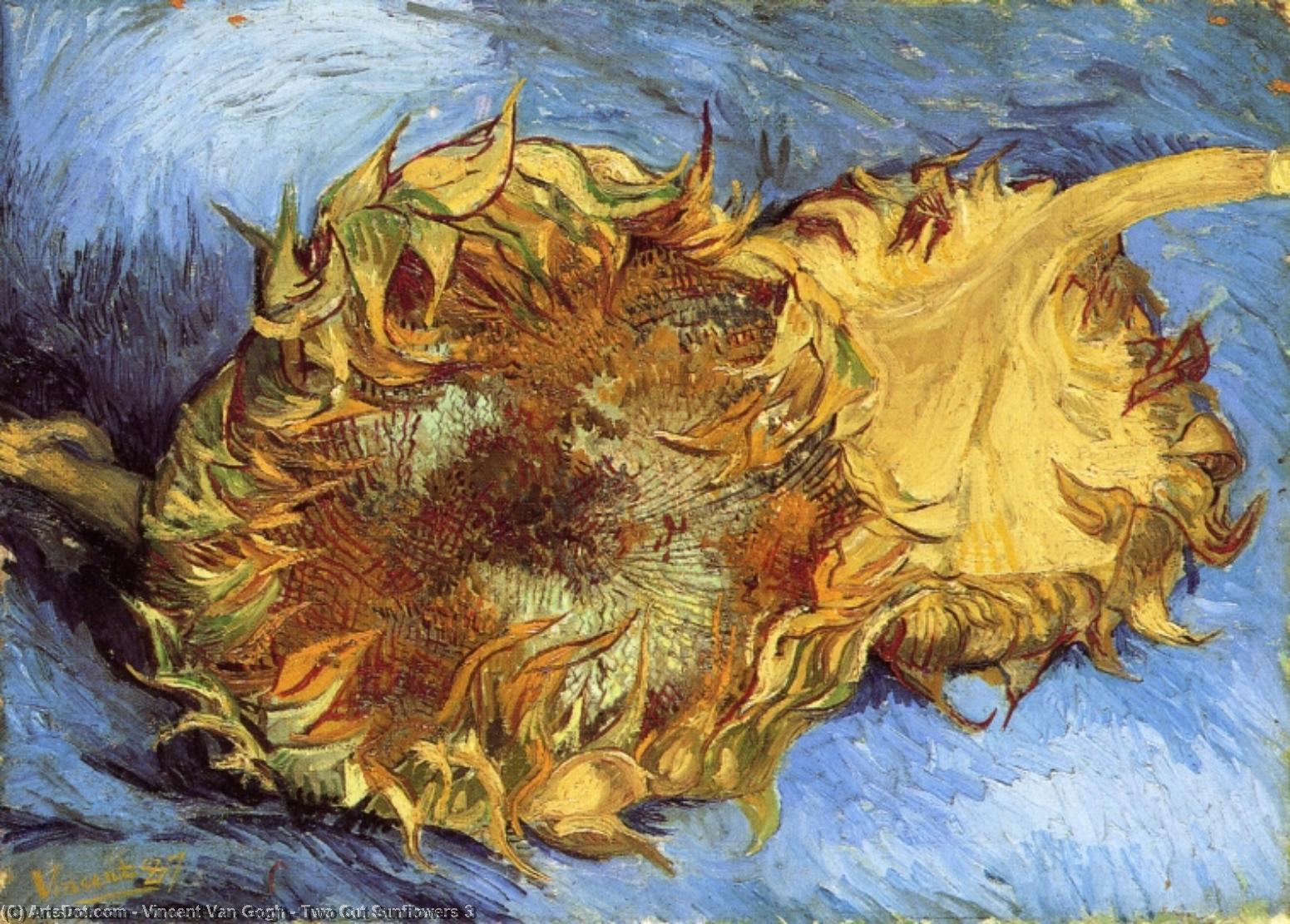 Wikioo.org – L'Enciclopedia delle Belle Arti - Pittura, Opere di Vincent Van Gogh - Due girasoli Cut 3