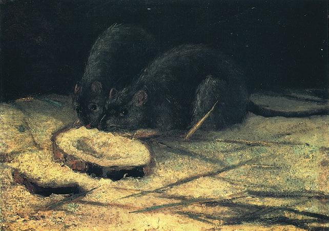Wikioo.org - The Encyclopedia of Fine Arts - Painting, Artwork by Vincent Van Gogh - Two Rats