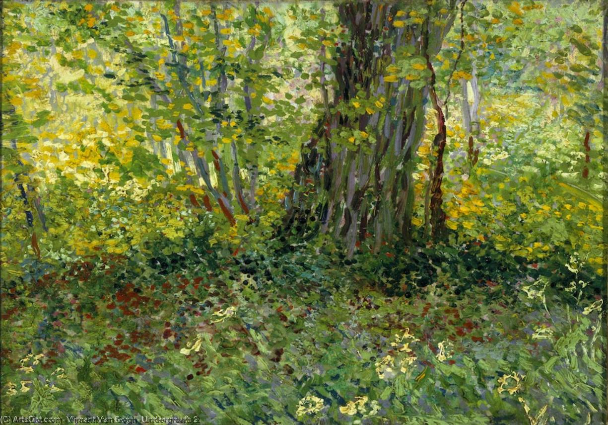 WikiOO.org - Enciklopedija dailės - Tapyba, meno kuriniai Vincent Van Gogh - Undergrowth 2
