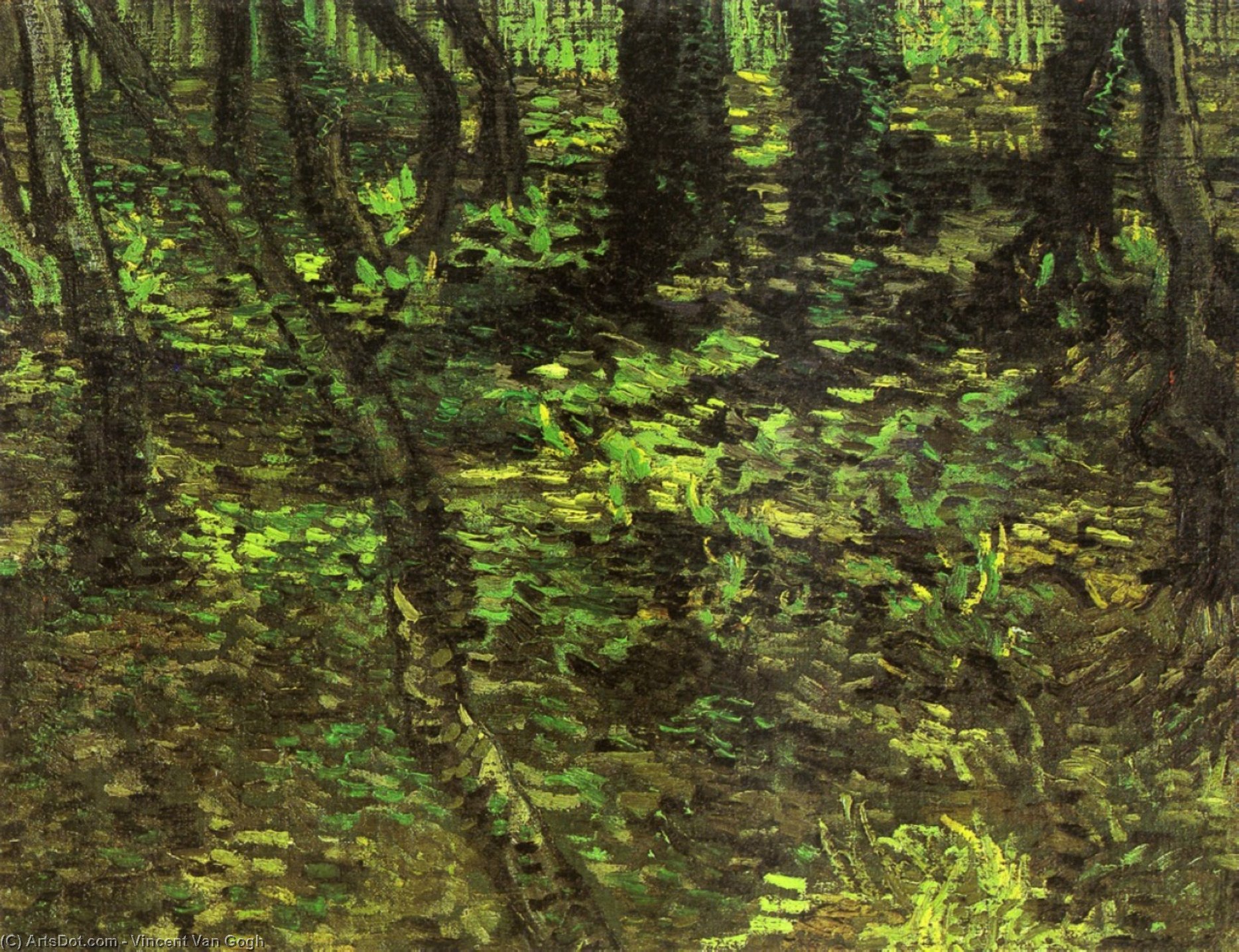 WikiOO.org - 百科事典 - 絵画、アートワーク Vincent Van Gogh - アイビーと下草