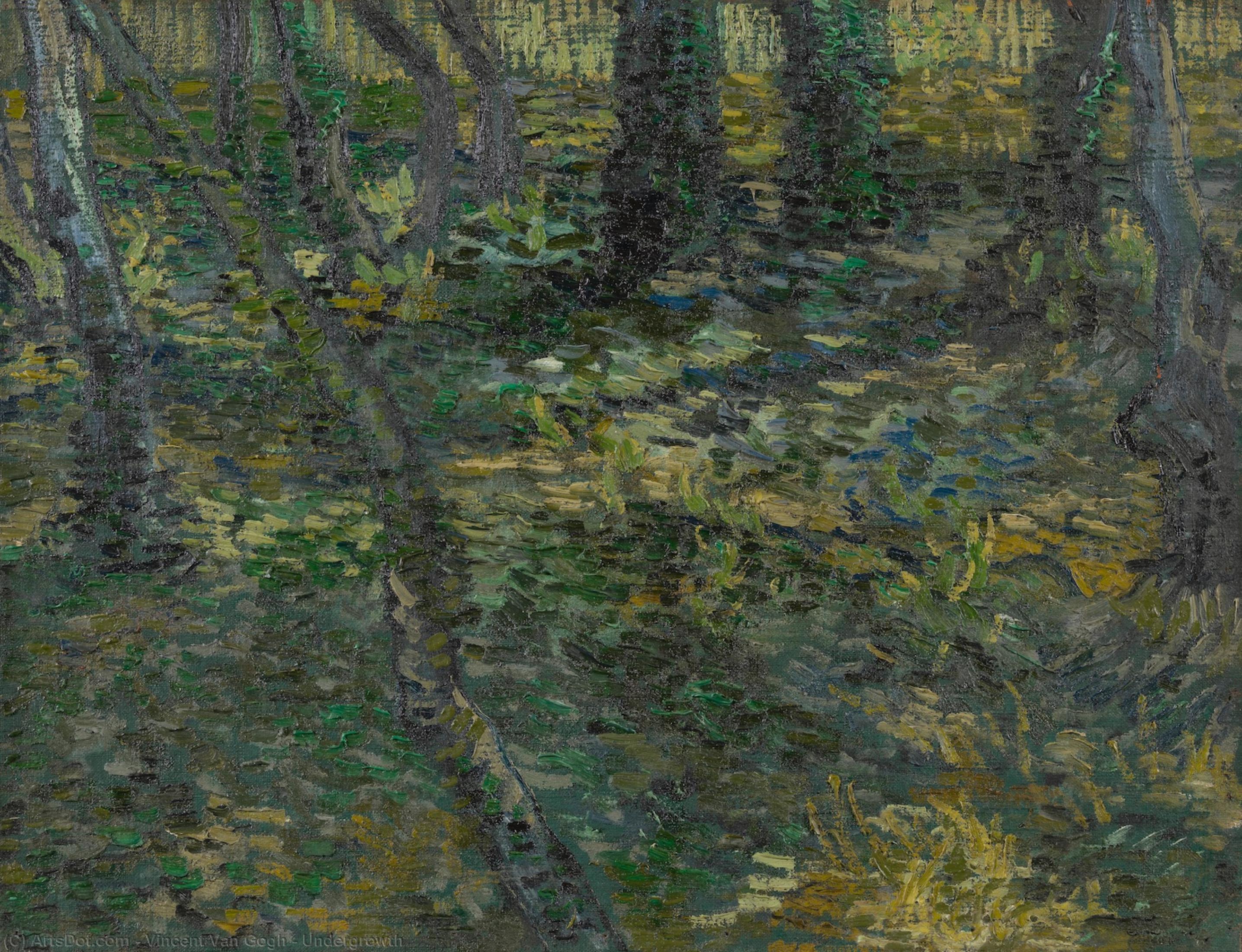 WikiOO.org - Enciklopedija dailės - Tapyba, meno kuriniai Vincent Van Gogh - Undergrowth