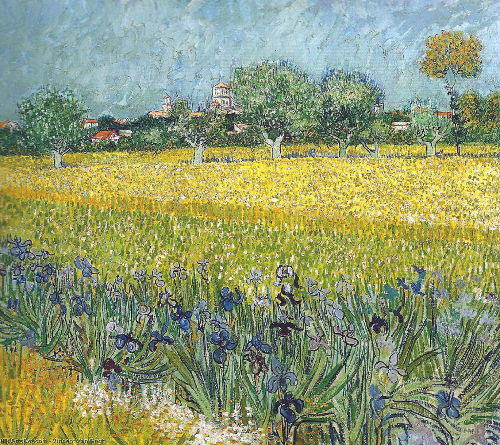 Wikioo.org – L'Enciclopedia delle Belle Arti - Pittura, Opere di Vincent Van Gogh - veduta di arles con iris in primo piano