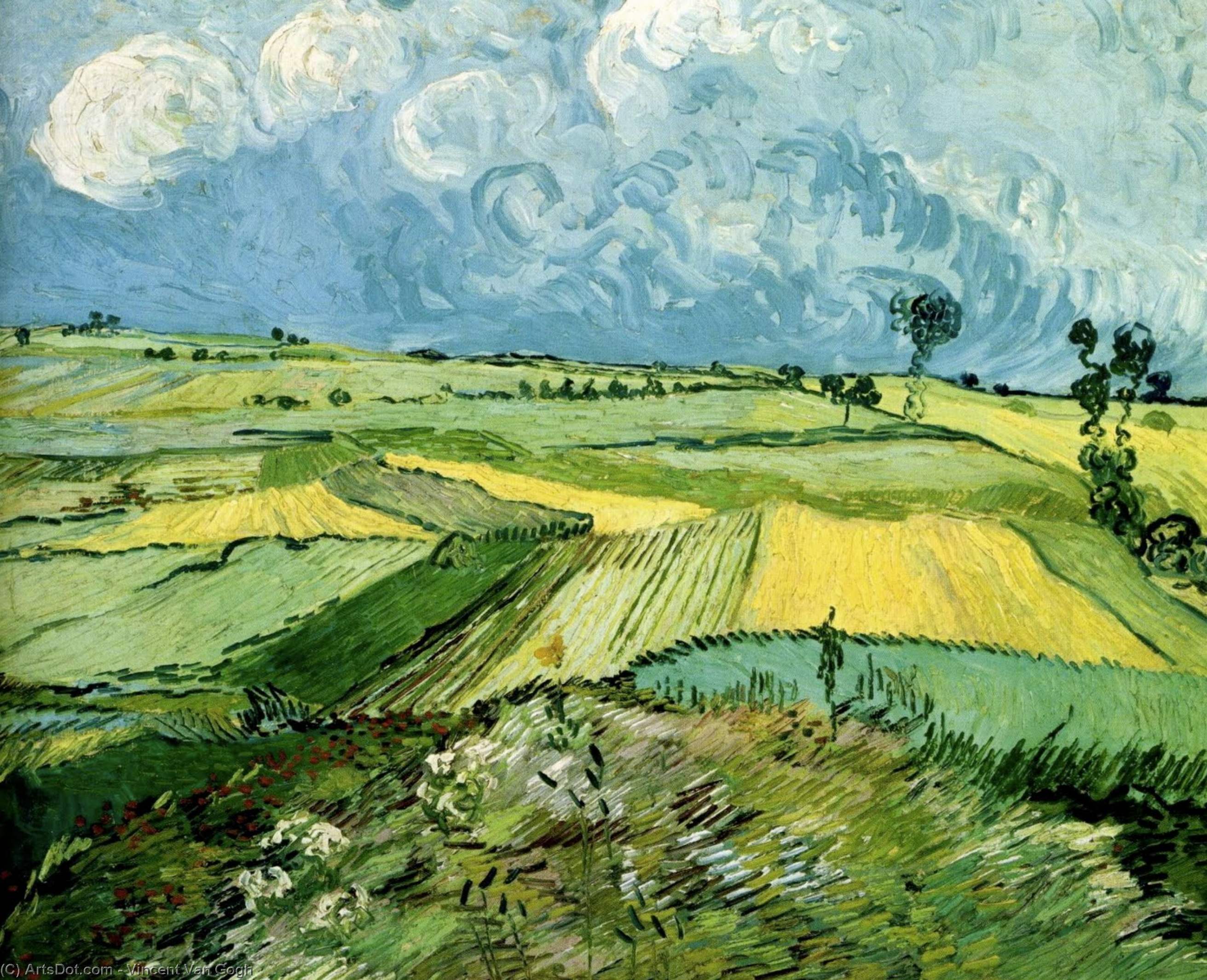 Wikioo.org - The Encyclopedia of Fine Arts - Painting, Artwork by Vincent Van Gogh - Wheat Fields at Auvers Under Clouded Sky