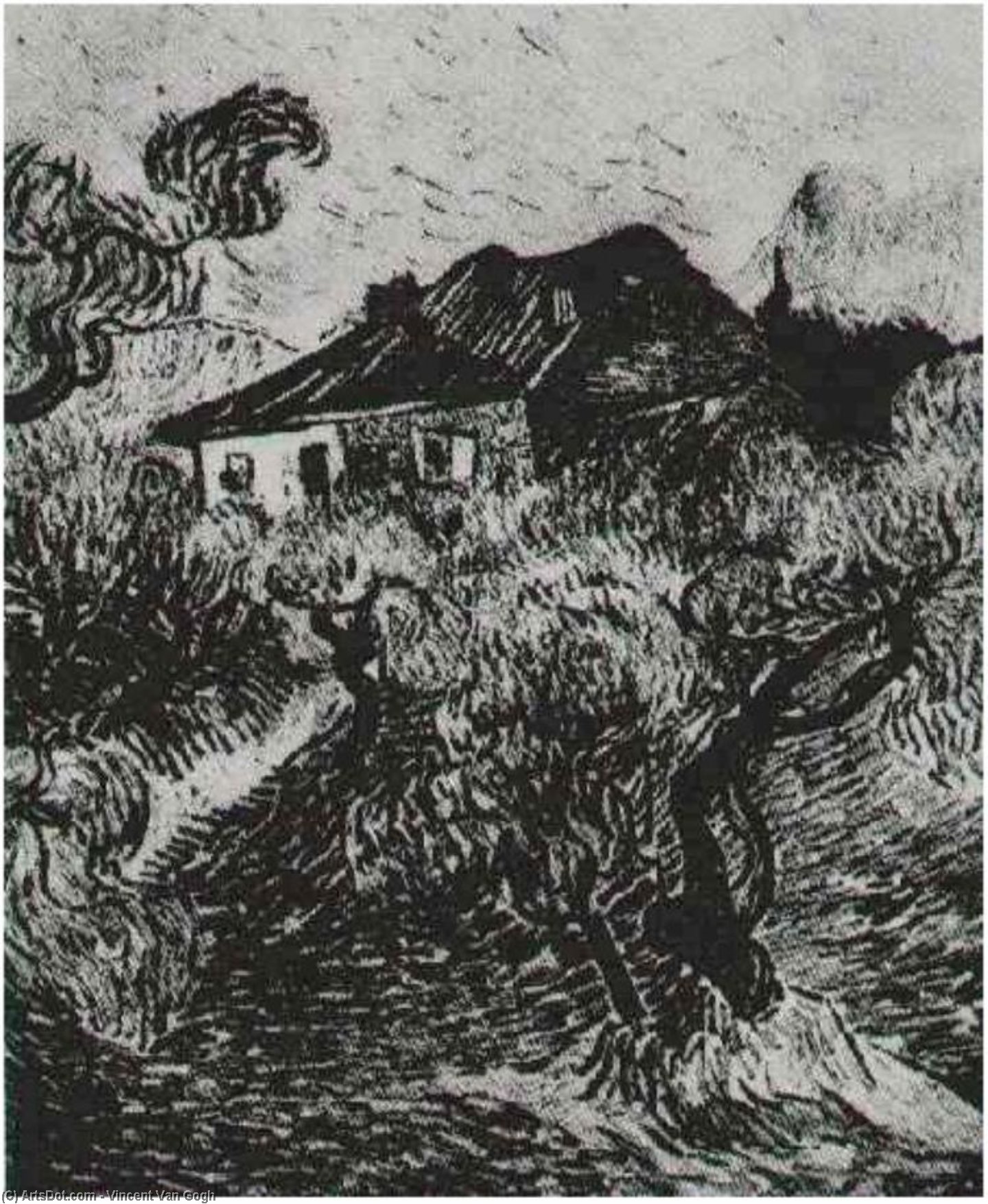 WikiOO.org - 백과 사전 - 회화, 삽화 Vincent Van Gogh - White Cottage Among the Olive Trees, The