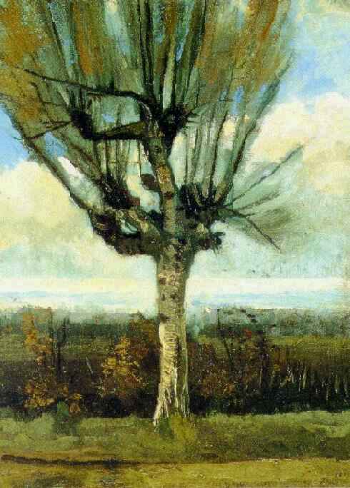 Wikioo.org – La Enciclopedia de las Bellas Artes - Pintura, Obras de arte de Vincent Van Gogh - Sauce el