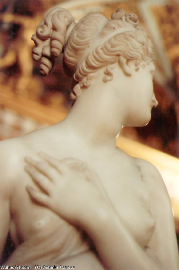 Wikioo.org - สารานุกรมวิจิตรศิลป์ - จิตรกรรม Antonio Canova - Venere Italica 1804-1811 (dettaglio)