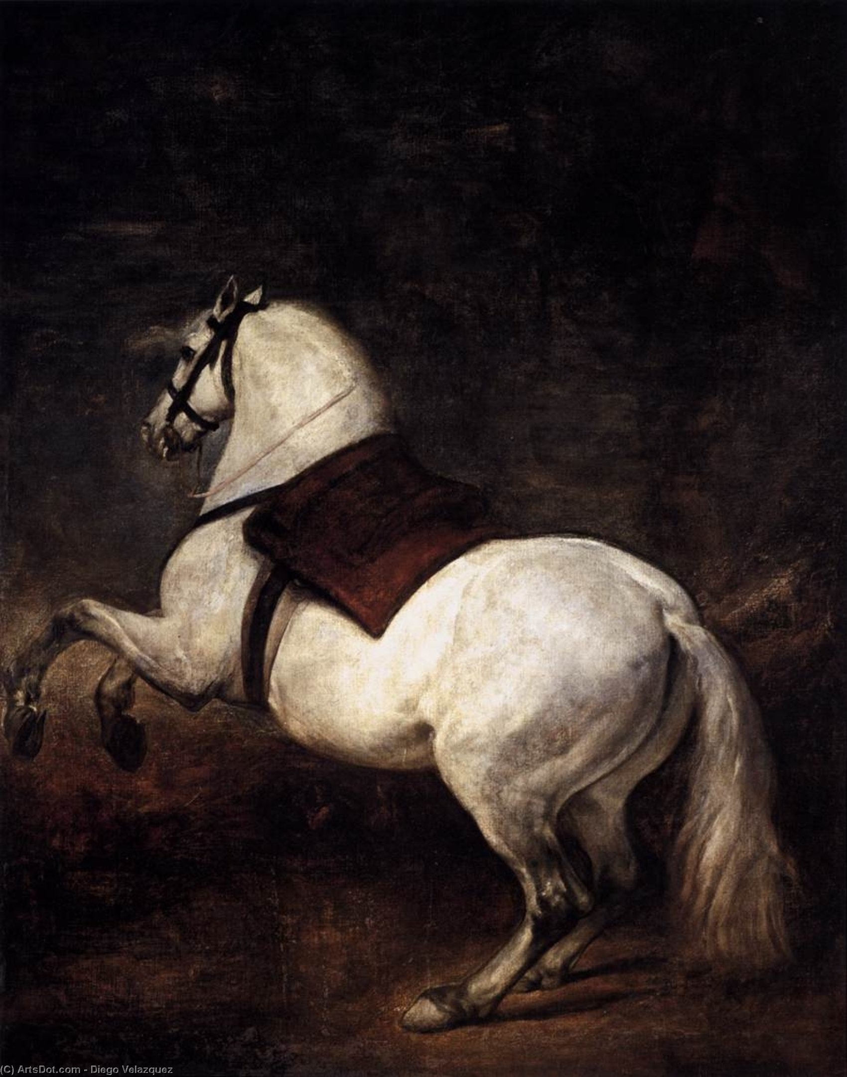 Wikioo.org – L'Enciclopedia delle Belle Arti - Pittura, Opere di Diego Velazquez - un bianco cavallo
