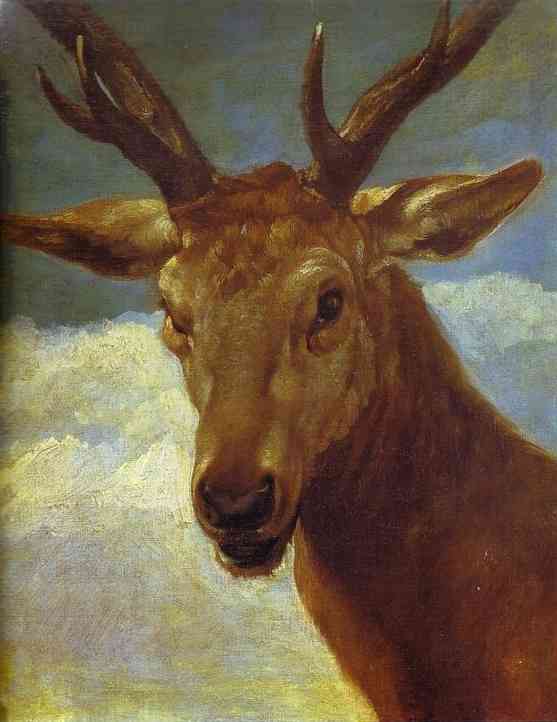 Wikioo.org - The Encyclopedia of Fine Arts - Painting, Artwork by Diego Velazquez - Head of a Stag