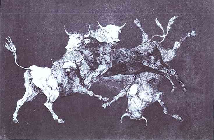 Wikioo.org – La Enciclopedia de las Bellas Artes - Pintura, Obras de arte de Francisco De Goya - Dispar delaware Tondoa ( la necedad de los tontos )