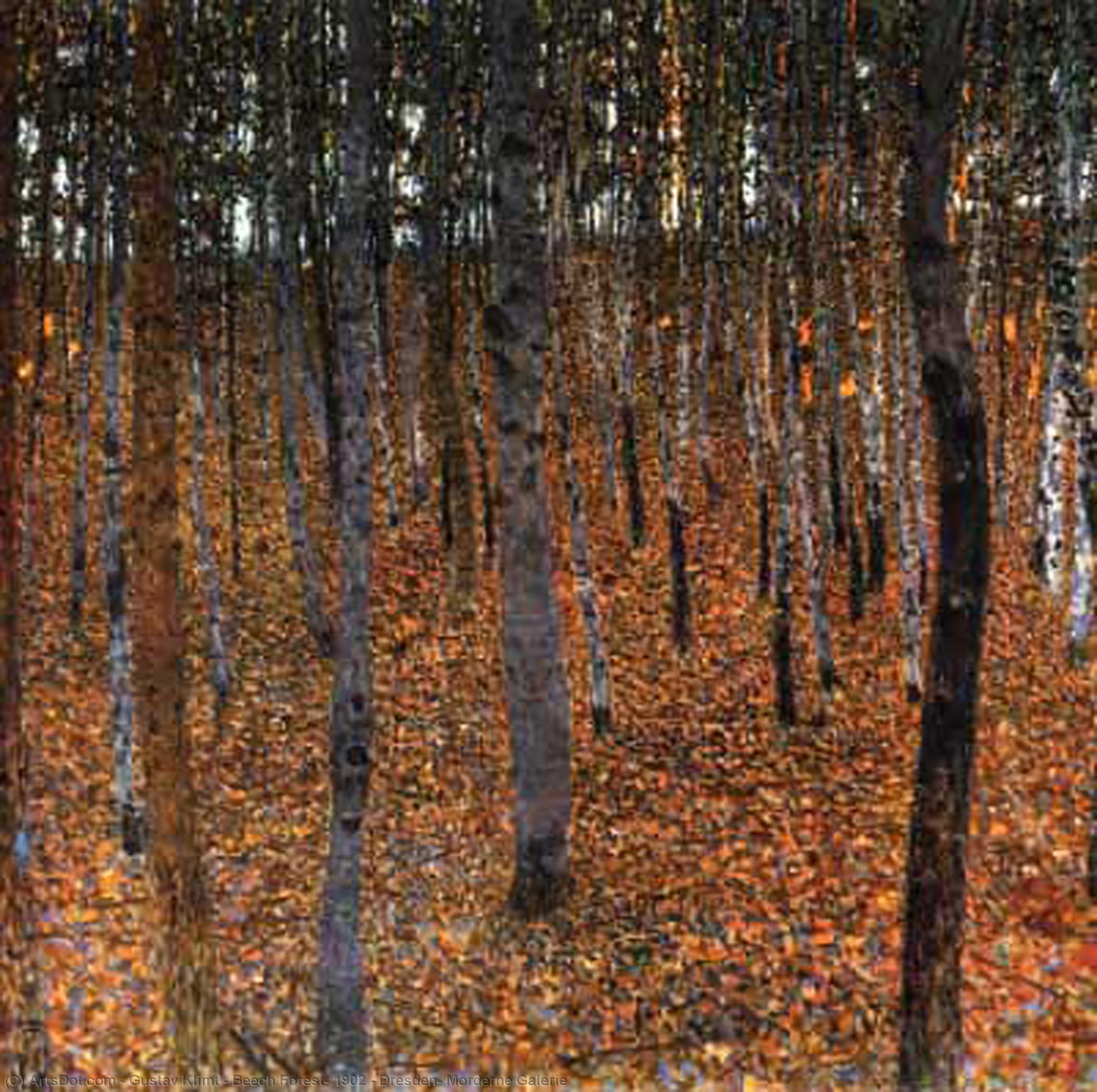 WikiOO.org - Енциклопедия за изящни изкуства - Живопис, Произведения на изкуството Gustav Klimt - Beech Forest, 1902 - Dresden, Morderne Galerie