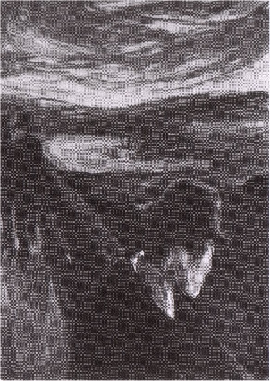 WikiOO.org - Энциклопедия изобразительного искусства - Живопись, Картины  Edvard Munch - Отчаяние
