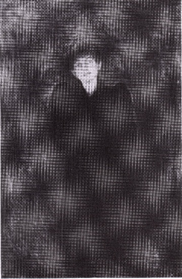 WikiOO.org - دایره المعارف هنرهای زیبا - نقاشی، آثار هنری Edvard Munch - Portrait of Dagny Juell Przybyszewski