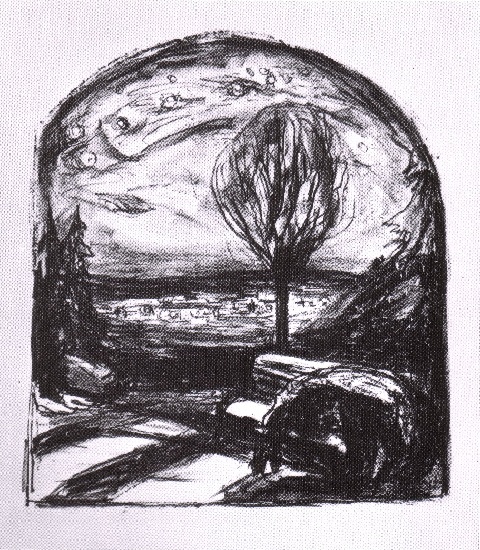 WikiOO.org - Εγκυκλοπαίδεια Καλών Τεχνών - Ζωγραφική, έργα τέχνης Edvard Munch - Starry Night