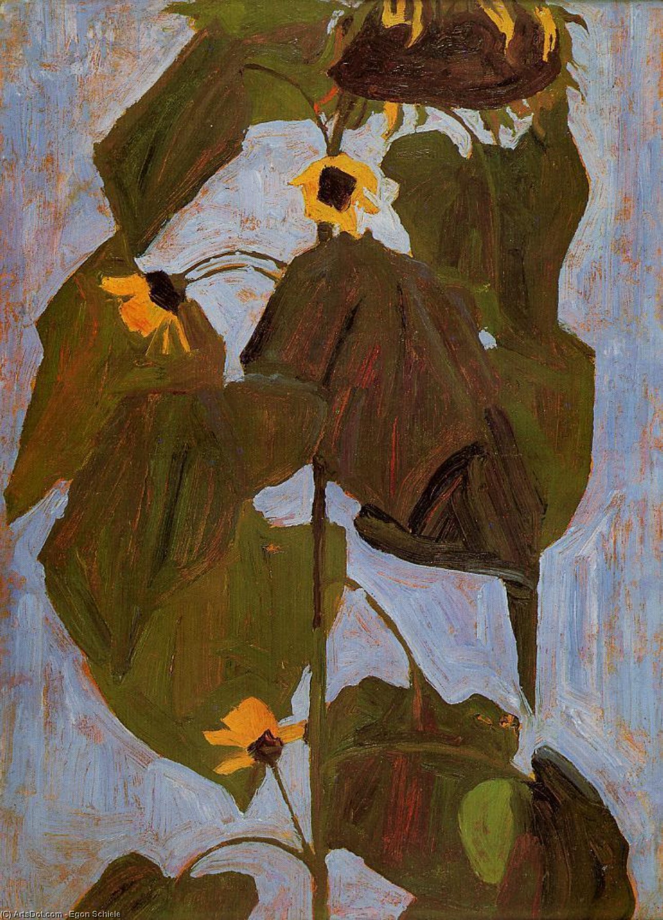 Wikioo.org - The Encyclopedia of Fine Arts - Painting, Artwork by Egon Schiele - Sunflower I