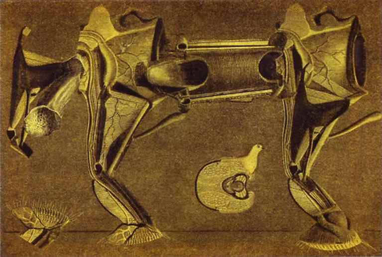 Wikioo.org - The Encyclopedia of Fine Arts - Painting, Artwork by Max Ernst - Un peu malade le cheval patte pelu..