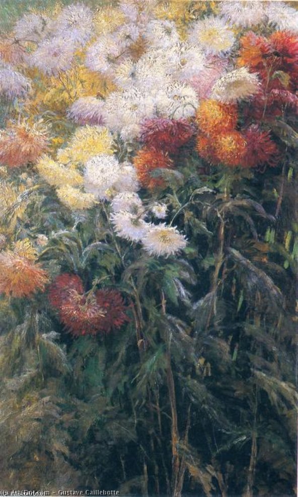 Wikioo.org - The Encyclopedia of Fine Arts - Painting, Artwork by Gustave Caillebotte - Clump of Chrysanthemums, Garden at Petit Gennevilliers