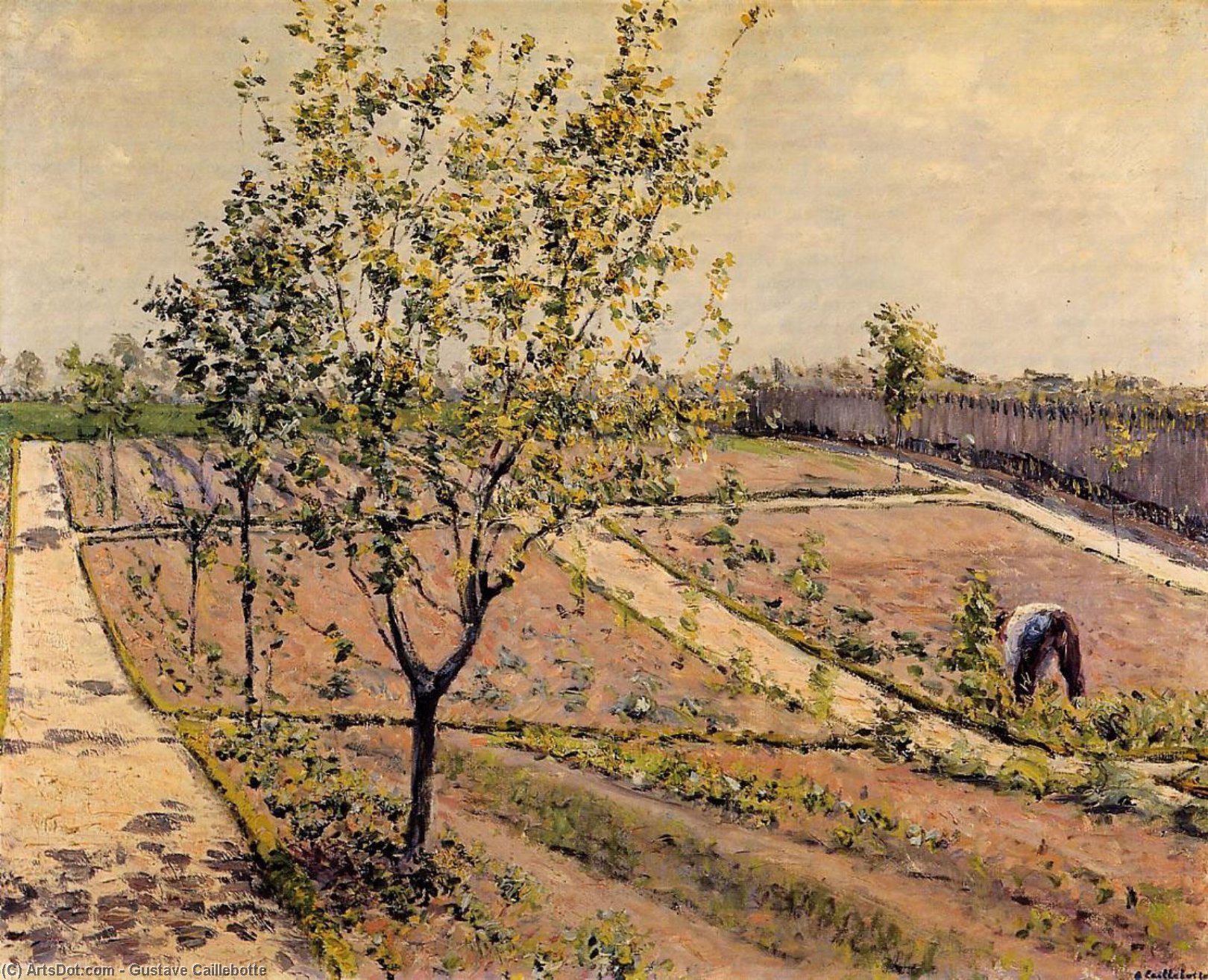 Wikioo.org - The Encyclopedia of Fine Arts - Painting, Artwork by Gustave Caillebotte - Kitchen Garden, Petit Gennevilliers