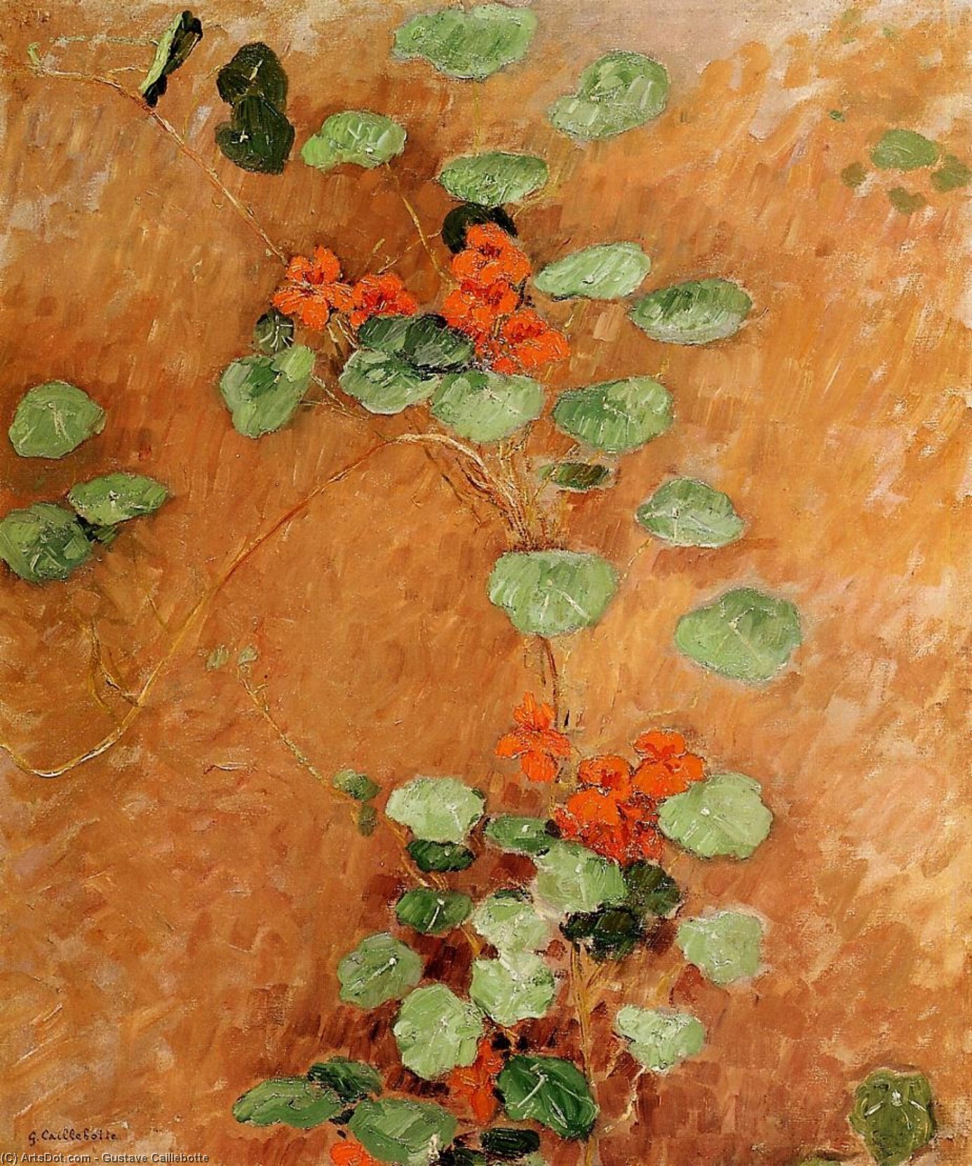 WikiOO.org - Encyclopedia of Fine Arts - Maľba, Artwork Gustave Caillebotte - Nasturtiums