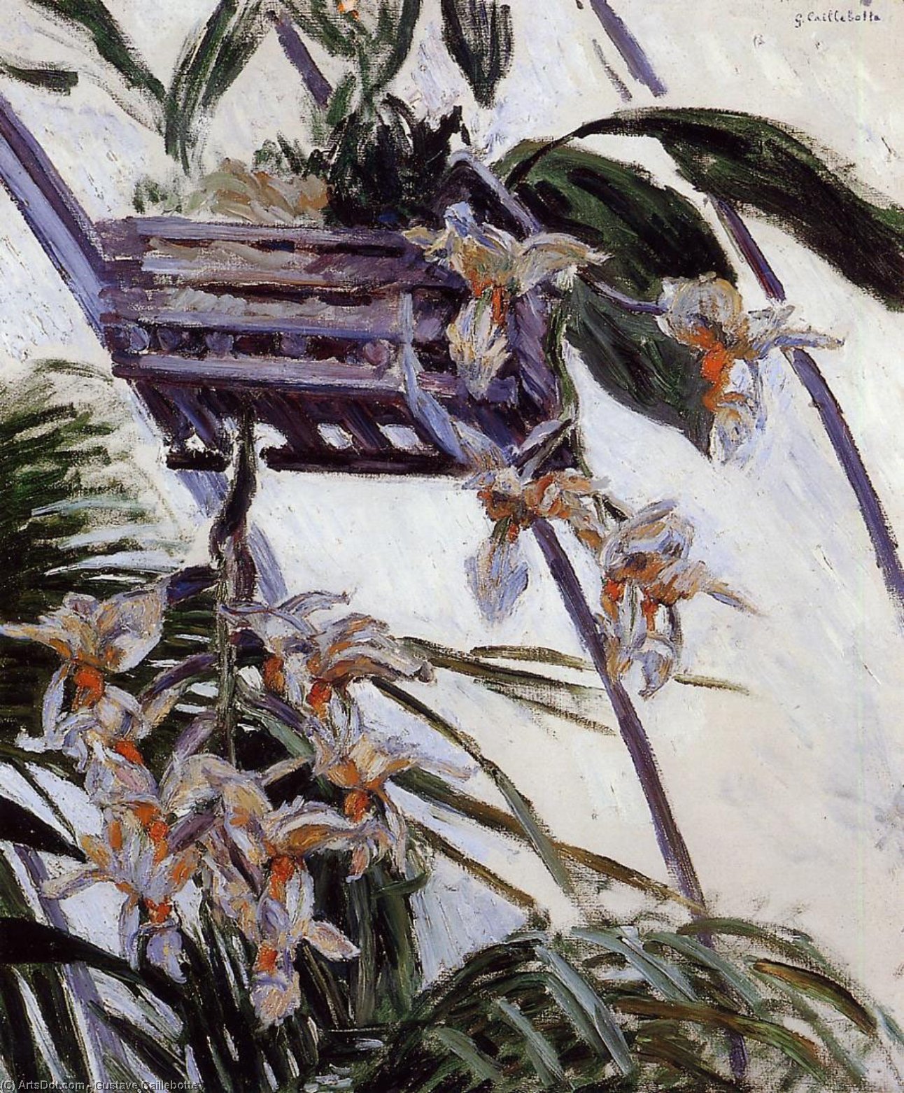 Wikioo.org – La Enciclopedia de las Bellas Artes - Pintura, Obras de arte de Gustave Caillebotte - Orquídeas
