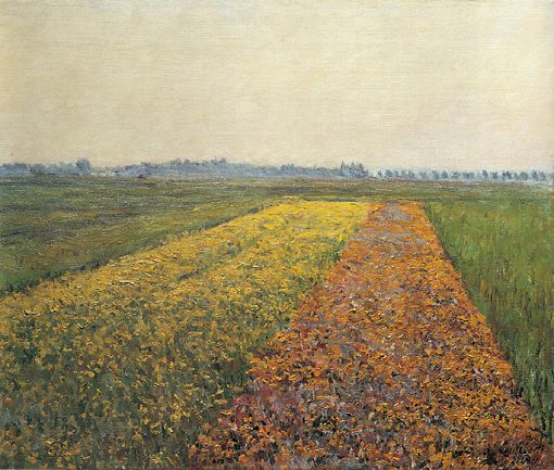 Wikioo.org - The Encyclopedia of Fine Arts - Painting, Artwork by Gustave Caillebotte - The Yellow Fields at Gennevilliers