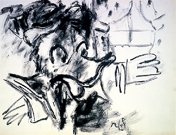 Wikioo.org – L'Encyclopédie des Beaux Arts - Peinture, Oeuvre de Roy Lichtenstein - Donald Canard