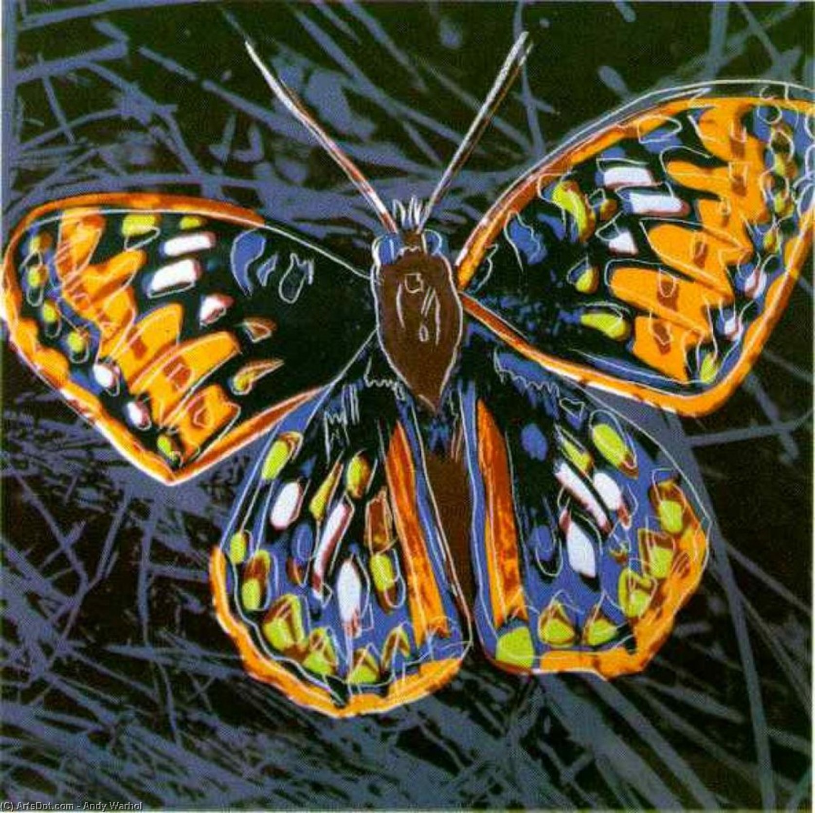 Wikioo.org - The Encyclopedia of Fine Arts - Painting, Artwork by Andy Warhol - Butterfly