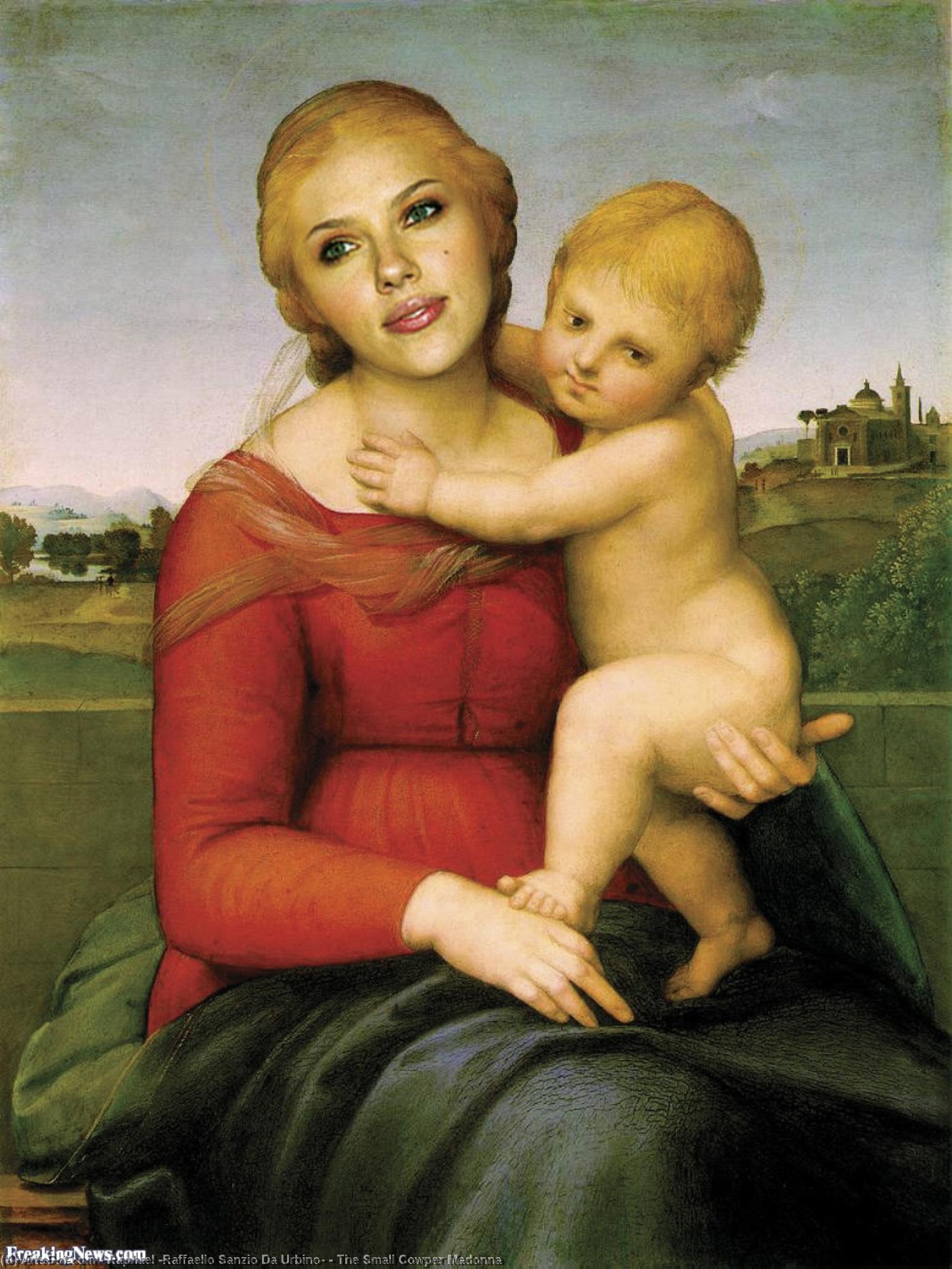 Wikioo.org - Die Enzyklopädie bildender Kunst - Malerei, Kunstwerk von Raphael (Raffaello Sanzio Da Urbino) - die kleine cowper madonna