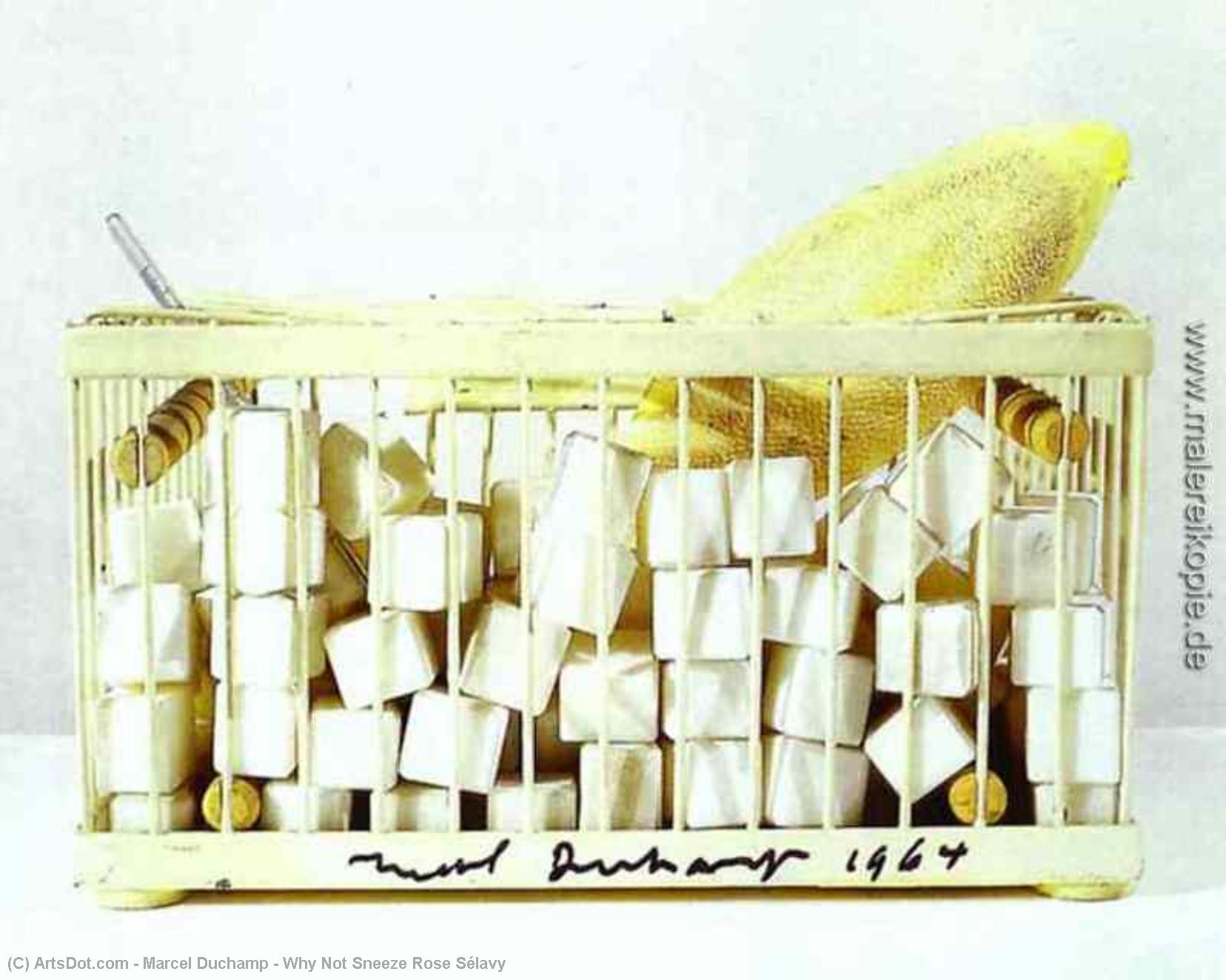 Wikioo.org - The Encyclopedia of Fine Arts - Painting, Artwork by Marcel Duchamp - Why Not Sneeze Rose Sélavy