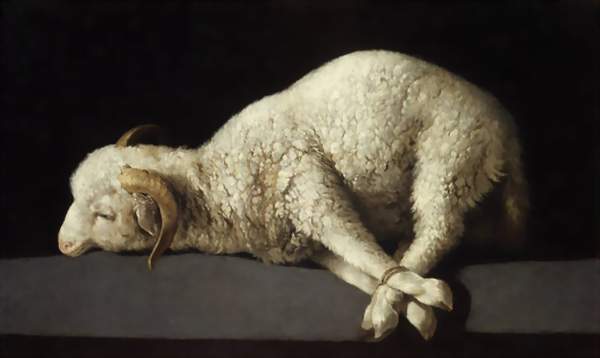 WikiOO.org – 美術百科全書 - 繪畫，作品 Francisco Zurbaran - Agnus棣（上帝的羔羊）