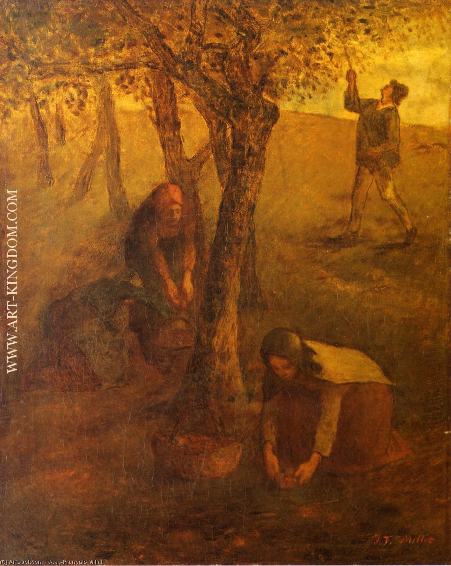 Wikioo.org - The Encyclopedia of Fine Arts - Painting, Artwork by Jean-François Millet - Gathering Apples