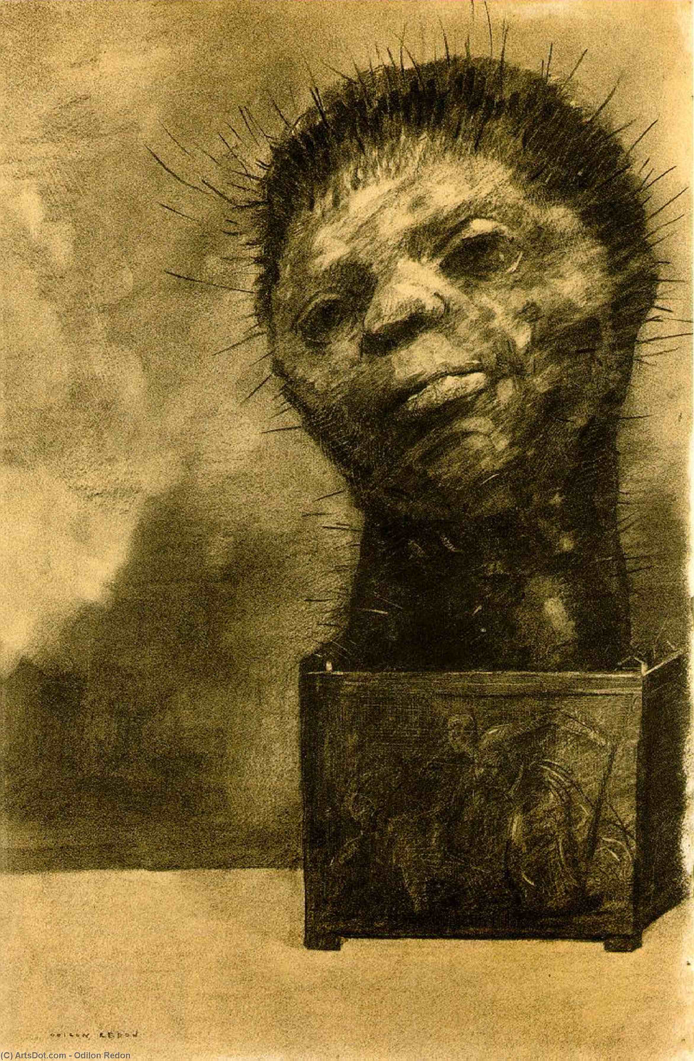 Wikioo.org - The Encyclopedia of Fine Arts - Painting, Artwork by Odilon Redon - Cactus Man
