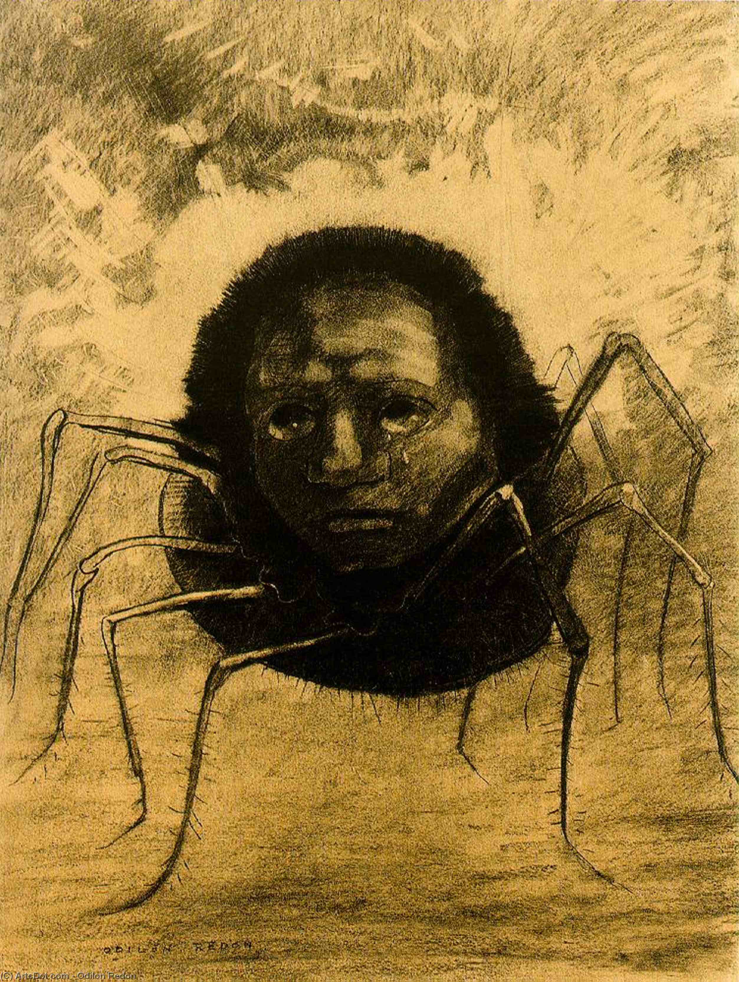 Wikioo.org - The Encyclopedia of Fine Arts - Painting, Artwork by Odilon Redon - The Crying Spider