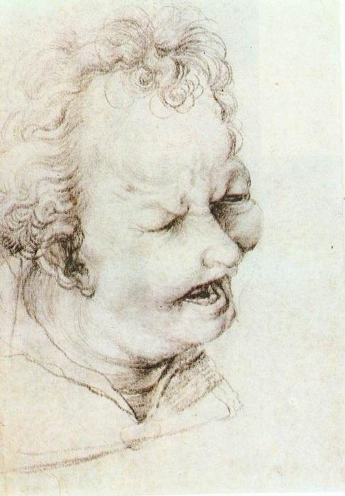 Wikioo.org - The Encyclopedia of Fine Arts - Painting, Artwork by Matthias Grünewald - Head of a Shouting Man1