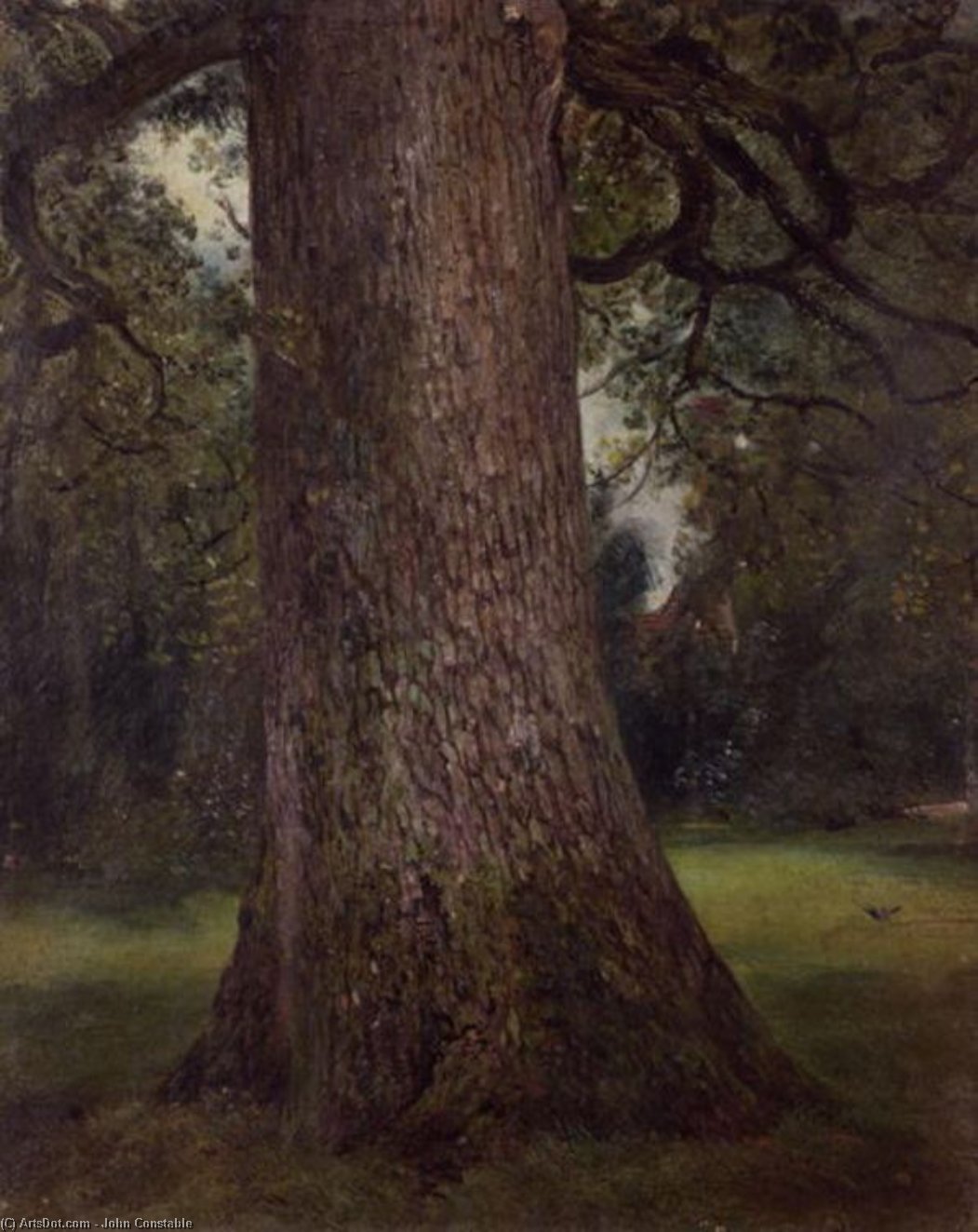 Wikioo.org - The Encyclopedia of Fine Arts - Painting, Artwork by John Constable - Study of the Trunk of an Elm Tree