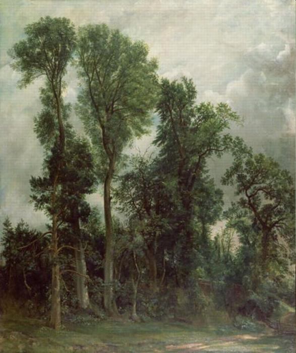 WikiOO.org - Enciklopedija likovnih umjetnosti - Slikarstvo, umjetnička djela John Constable - Trees at Hampstead