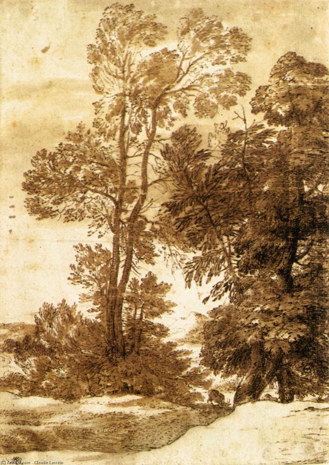 Wikioo.org - Encyklopedia Sztuk Pięknych - Malarstwo, Grafika Claude Lorrain (Claude Gellée) - Trees