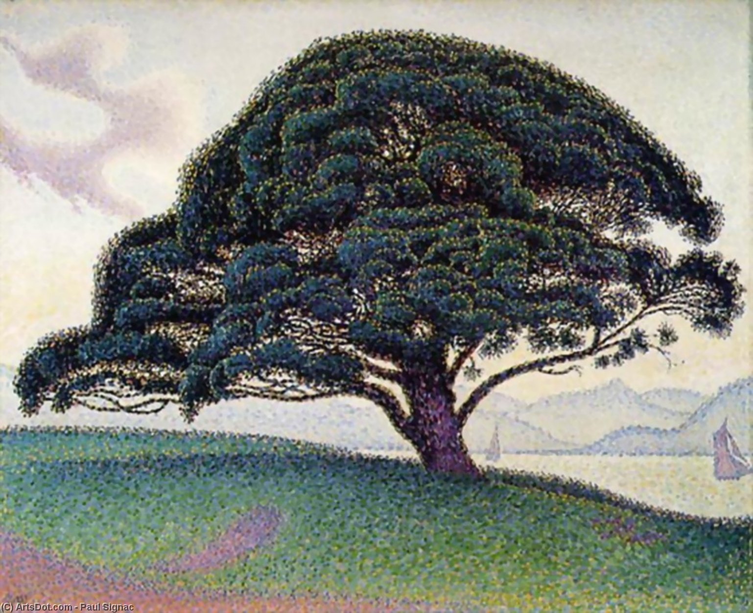 Wikioo.org - The Encyclopedia of Fine Arts - Painting, Artwork by Paul Signac - Le pin de Bonaventura a Saint-Tropez (The Bonaventure Pine in Saint-Tropez)