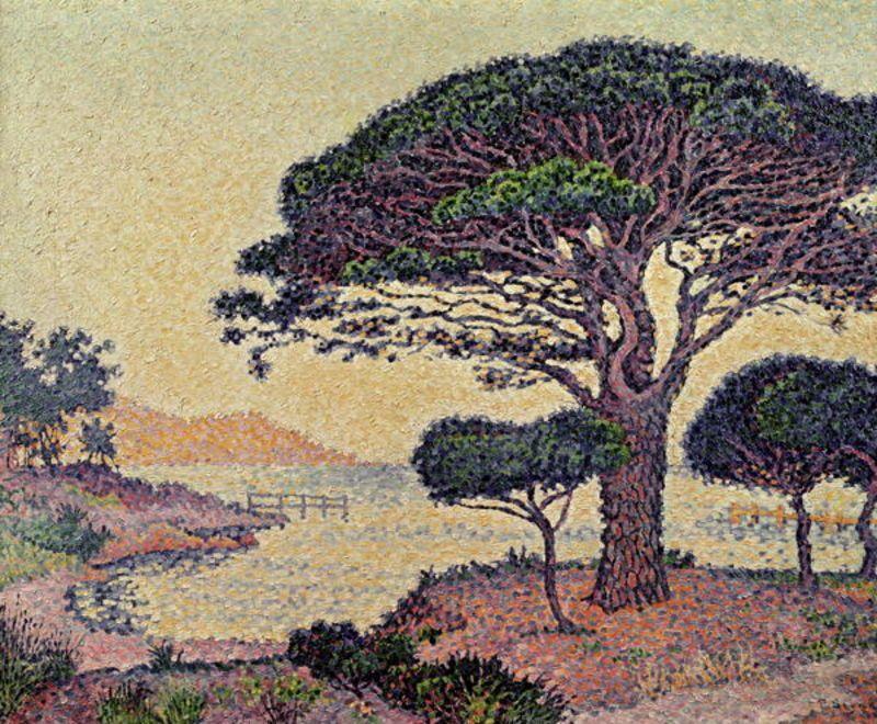 Wikoo.org - موسوعة الفنون الجميلة - اللوحة، العمل الفني Paul Signac - Umbrella Pines at Caroubiers