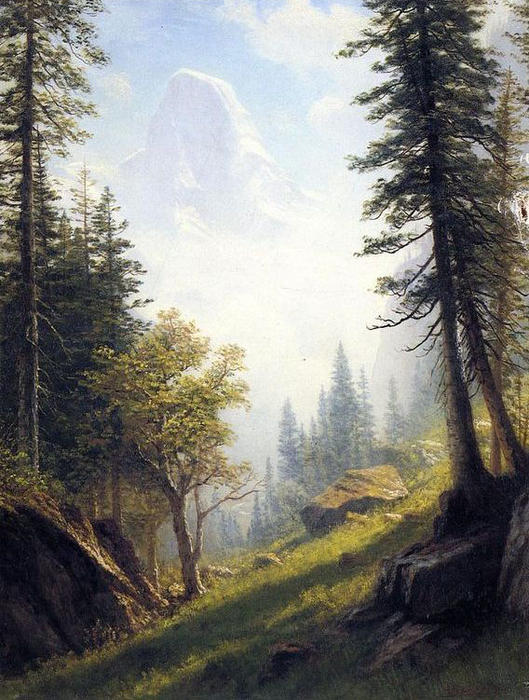 Wikioo.org - The Encyclopedia of Fine Arts - Painting, Artwork by Albert Bierstadt - Among the Bernese Alps