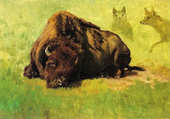 Wikioo.org – La Enciclopedia de las Bellas Artes - Pintura, Obras de arte de Albert Bierstadt - Bison con Coyotes en el fondo